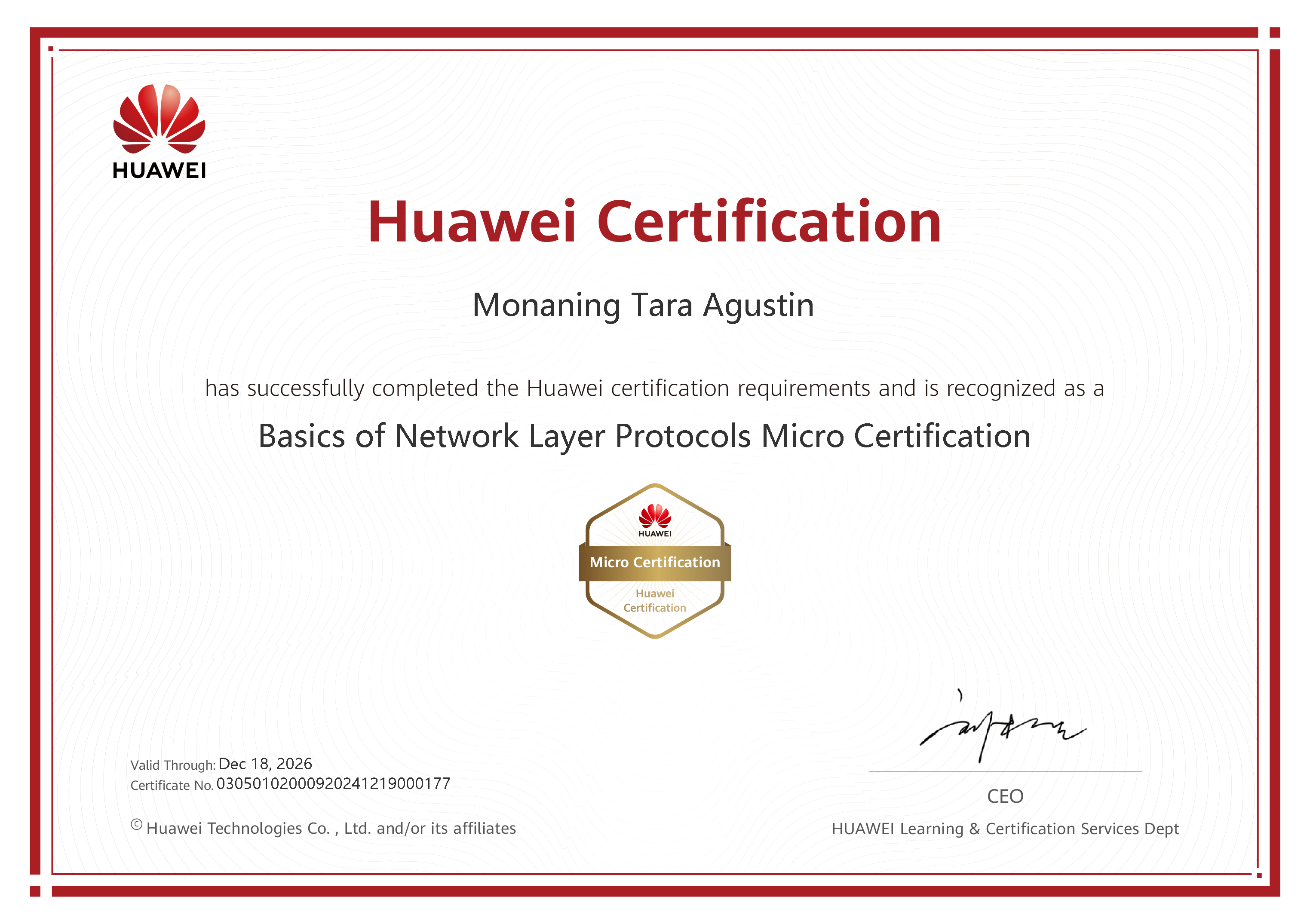 Basics of Network Layer Protocols