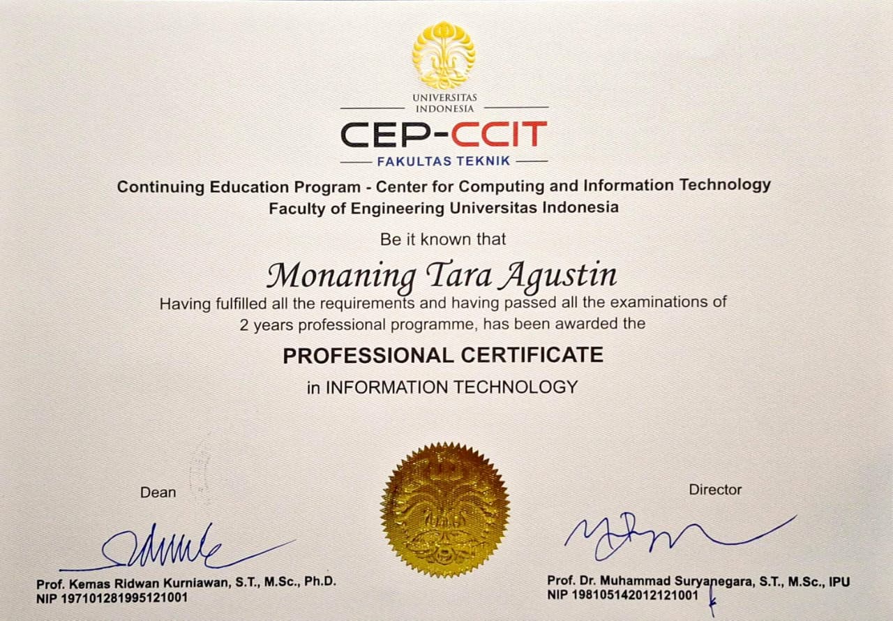 Professional Certificate in IT