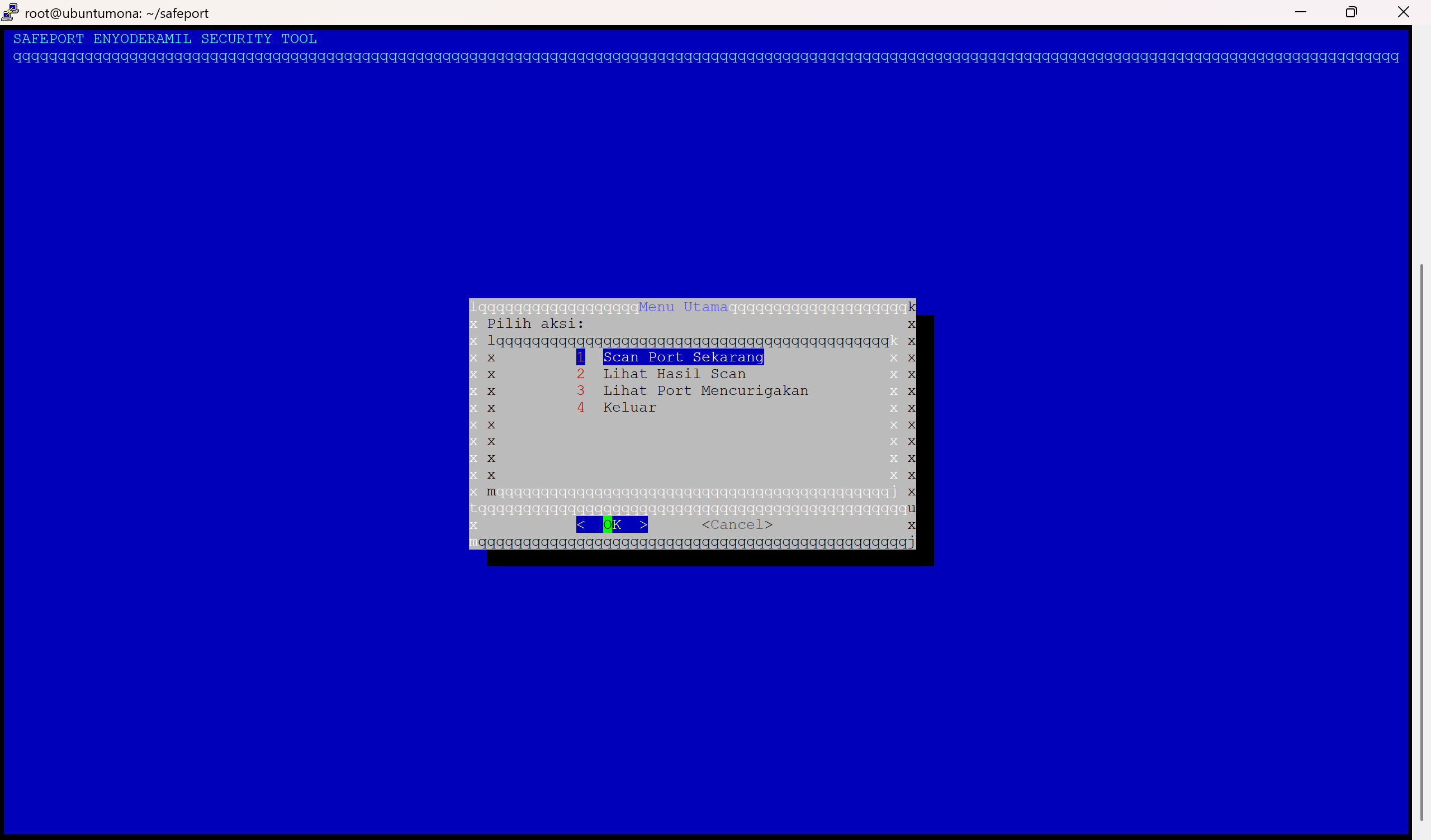 SafePort: Monitoring Port Asing